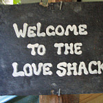 Thumbnail Photo for the Zip Line Gallery.